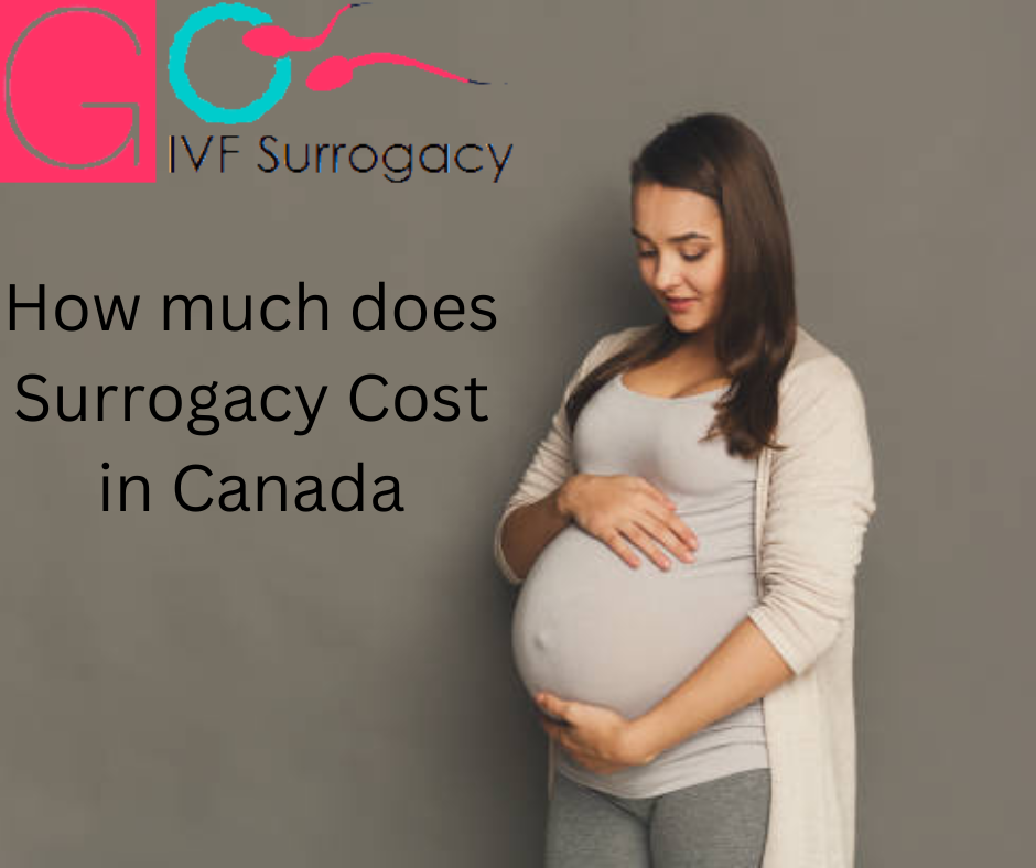Building Families with Compassion: Understanding the Surrogacy Process in Canada